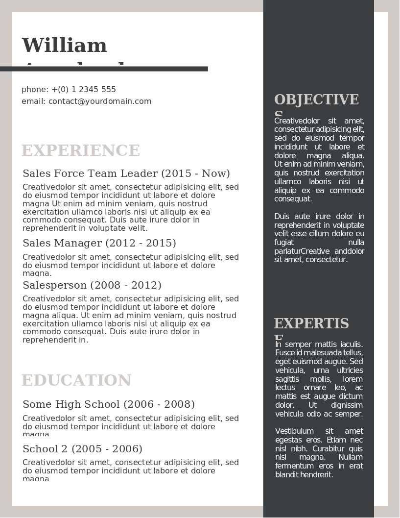 The Efficient Layout CV preview